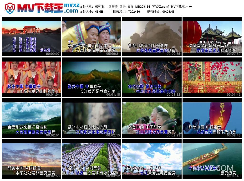 张师羽-中国醉美_国语_流行_MB203184